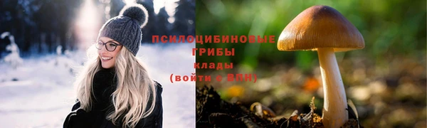 круглые Алексин