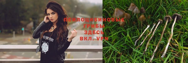 круглые Алексин