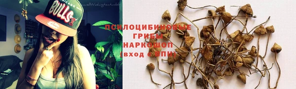 мяу мяу мука Алзамай