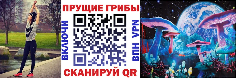 закладки  Курчалой  Псилоцибиновые грибы мицелий 