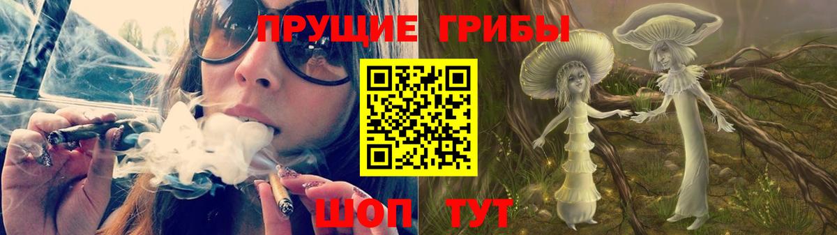 Галлюциногенные грибы Magic Shrooms Курчалой