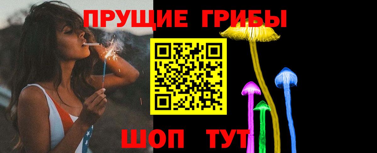 Псилоцибиновые грибы Cubensis  Галлюциногенные грибы Psilocybe  Курчалой  Вход с VPN 