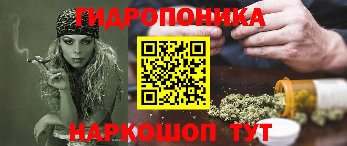 Каннабис марихуана Курчалой